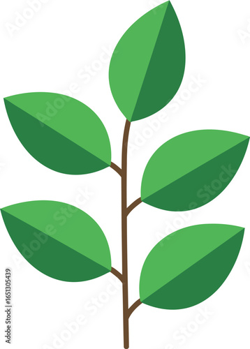 A simple flat design illustration of a green plant stem with five oval leaves against a white background