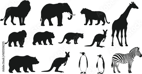 Wildlife animal silhouettes collection, African safari animals, jungle wildlife vector, nature animals icons, lion, elephant, giraffe, zebra, bear, kangaroo