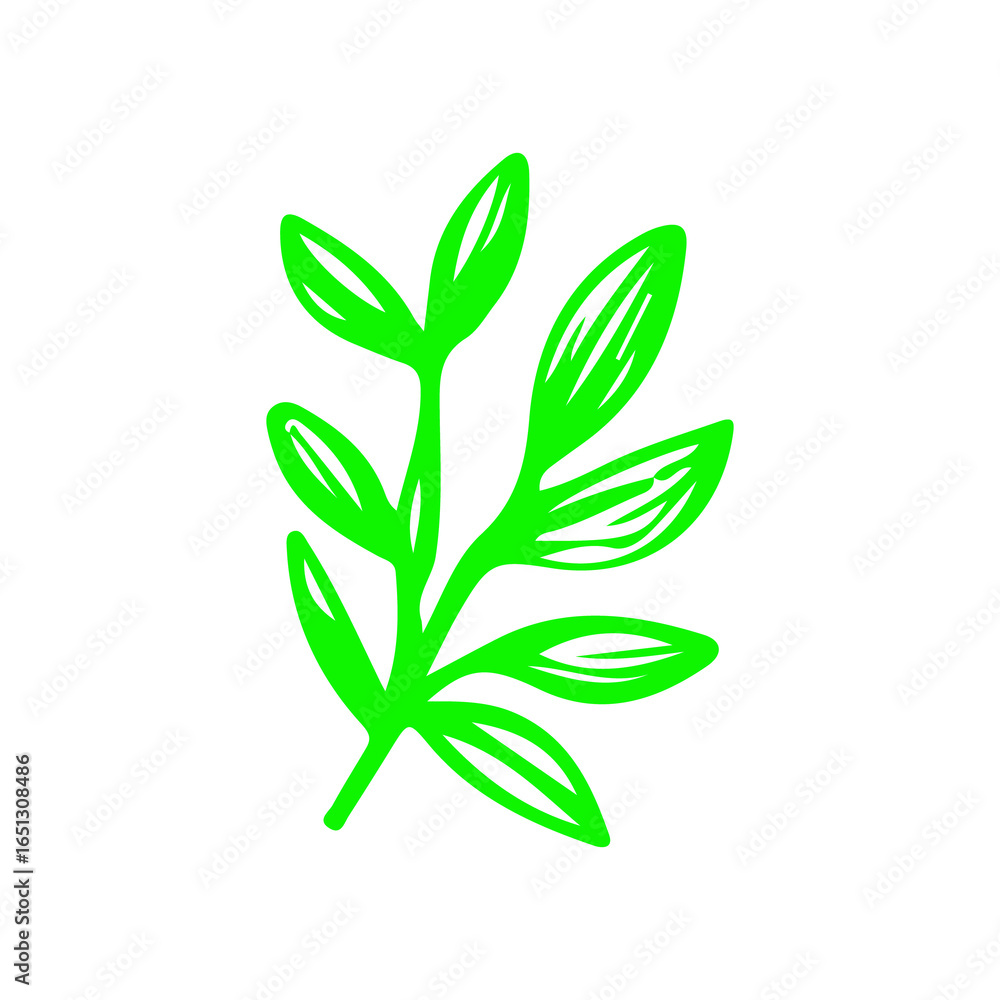 green leaves vector doodle.Isolated Palm Leaves on white background green leaves vector doodle.Isolated Palm Leaves on white background