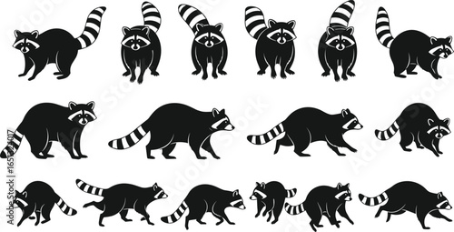 Silhouette raccoon vector illustration set showing various animal poses, wildlife walking, standing, sitting, cartoon style design for decoration