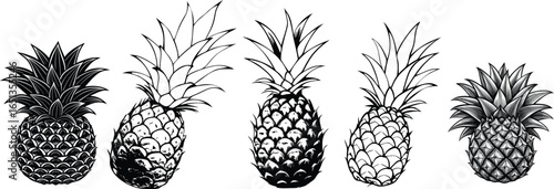 A detailed black and white illustration of a ripe pineapple, showcasing its textured rind and spiky crown of leaves. Isolated on a white background.