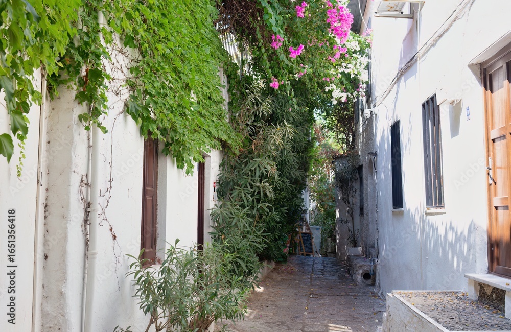 Fototapeta premium Narrow street between whitewashed buildings with green foliage, pink and white flowers overhead in old Marmaris - Mugla - Turkey