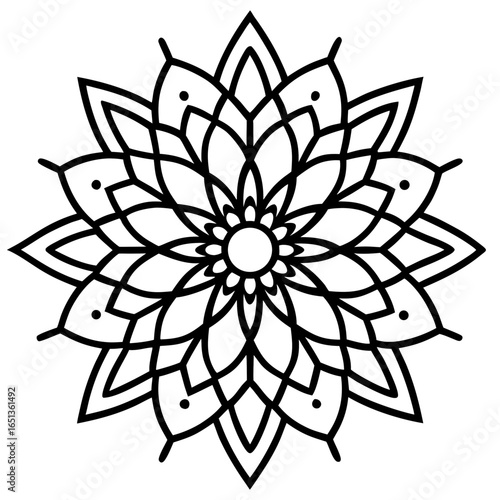 This Image Features a Beautiful Intricate Design