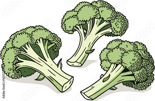 Whole Fresh Broccoli Florets Arranged on White Background