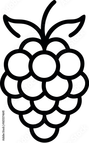 Blackberry fruit or blackberries line art vector icon 