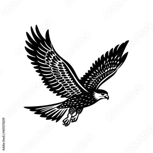 vector silhouette of a hawk diving on white background