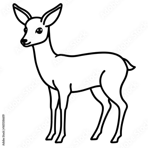 Roe Deer vector line art on white background