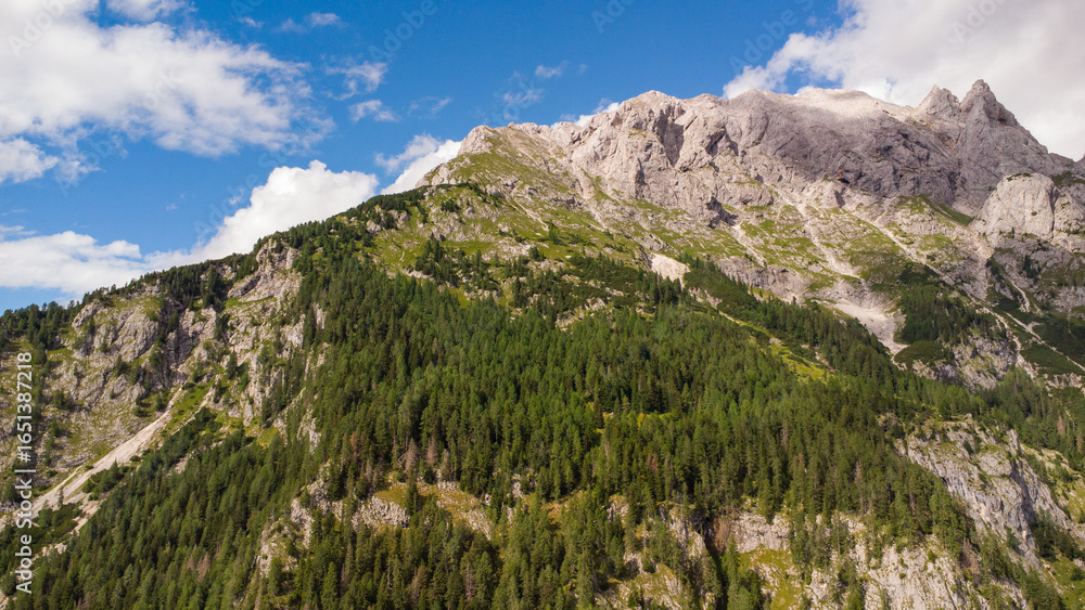 Fototapeta premium Majestic Mountain Valley with Lush Forests and Rugged Peaks Under a Cloudy Sky