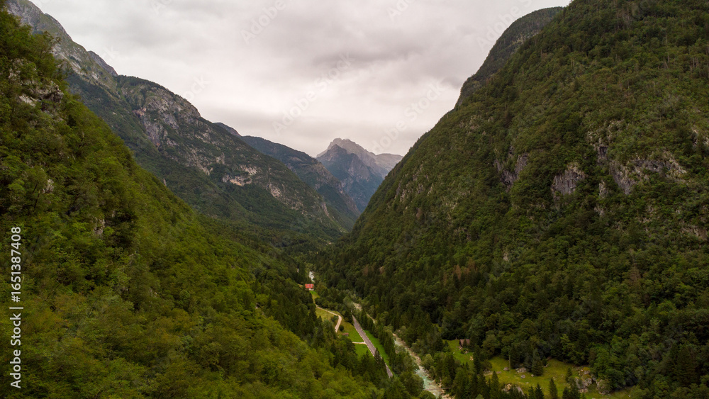 Naklejka premium Majestic Mountain Valley with Lush Forests and Rugged Peaks Under a Cloudy Sky