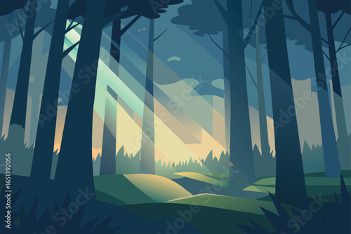Soft Glowing Light Through Forest Trees in Morning