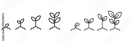 Growing plants in various stages of development as vector illustration
