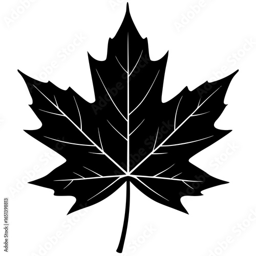 Single maple leaf silhouette isolated