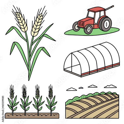 Agriculture farming wheat field tractor greenhouse crops cultivation rural landscape farm equipment and harvest