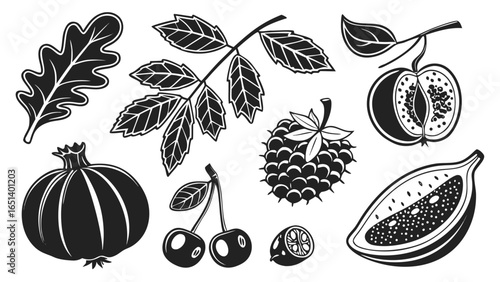 Black and White Vector Illustration of Various Fruits and Leaves in a Graphic Style
