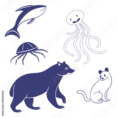 Illustration of marine and land animals including dolphin bear and jellyfish