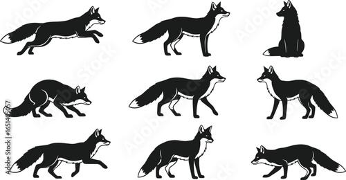 Black and white fox illustrations in various poses, running, sitting, walking, crouching, wildlife animal vector art, forest creature drawing design graphic