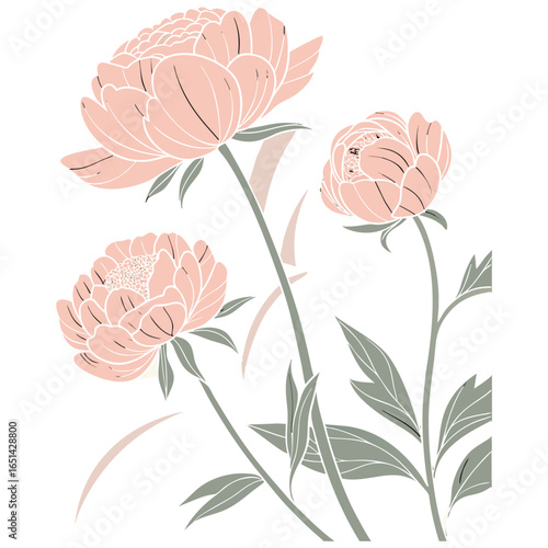 Pastel Peony Watercolor Flower