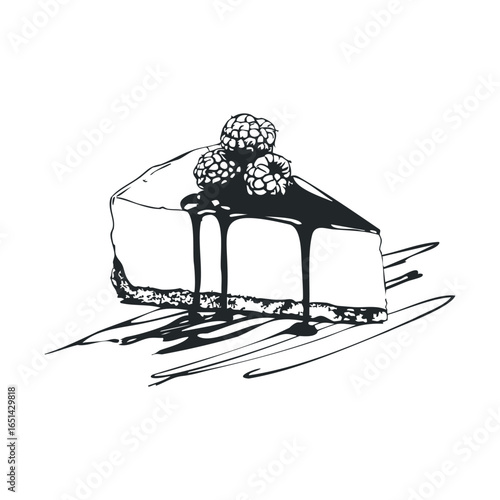 Black and white raspberry cheesecake slice with chocolate drizzle illustration