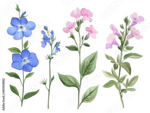 Wallpaper Mural Vintage watercolor blue and pink flowers with delicate details. Torontodigital.ca