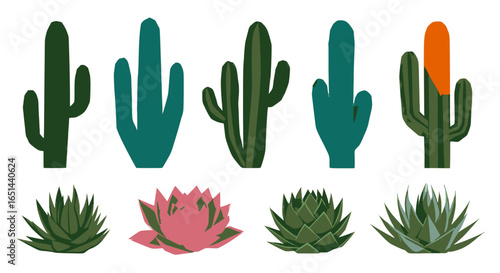 Desert cactus and succulent plant collection in various green tones with natural botanical styling