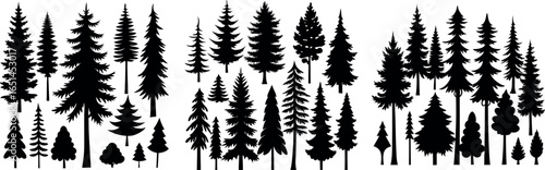 Coniferous Tree Silhouettes – Diverse Pine Tree Shapes on White Background