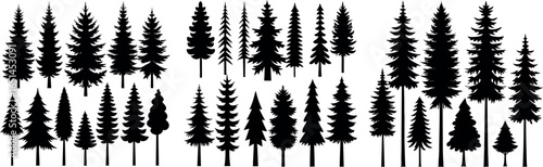 Coniferous Tree Silhouettes – Diverse Pine Tree Shapes on White Background