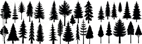 Pine Tree Silhouette – Black and White Evergreen with Layered Branches and Symmetrical Shape