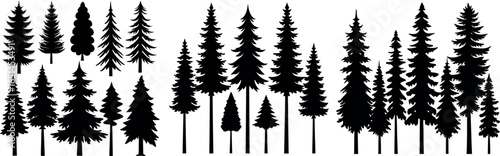Pine Tree Silhouette – Black and White Evergreen with Layered Branches and Symmetrical Shape