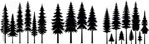 Forest tree silhouettes collection. Pine trees horizontal pattern panorama backgrounds. Vector illustration