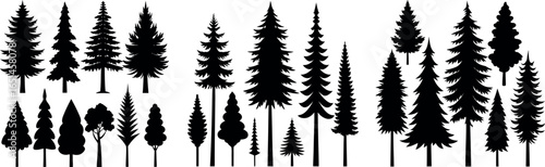 Pine Tree Silhouette Collection Isolated on White Background – Vector Set