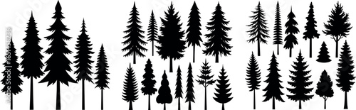 Pine Tree Silhouette – Black and White Evergreen with Layered Branches and Symmetrical Shape