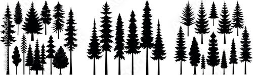 Pine Tree Silhouette – Black and White Evergreen with Layered Branches and Symmetrical Shape