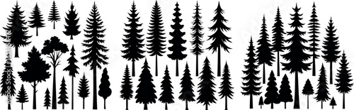 Pine Tree Silhouette – Black and White Evergreen with Layered Branches and Symmetrical Shape