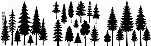 Coniferous Tree Silhouettes – Diverse Pine Tree Shapes on White Background