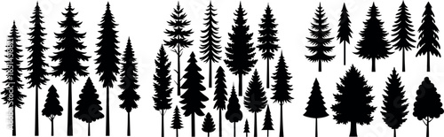 Coniferous Tree Silhouettes – Diverse Pine Tree Shapes on White Background