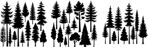 Coniferous Tree Silhouettes – Diverse Pine Tree Shapes on White Background