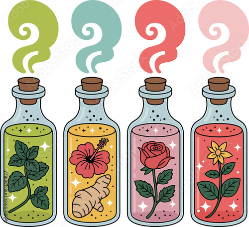 Hand drawn herbal potion bottles with labels mint hibiscus ginger rose and lemon balm apothecary vector illustration