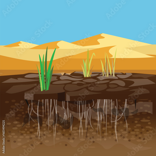 Lifeless land in section against the background of a desert landscape. Vector illustration as symbol of drought, global warming, climate catastrophe and environmental problems.