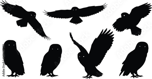 Owl silhouette set, flying and perched owl vector clipart, nocturnal bird illustration, spooky Halloween wildlife design, night predator symbol, witchcraft and mystery icons