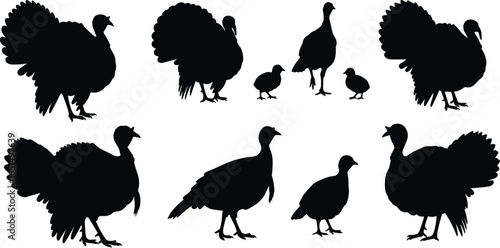 Turkey bird silhouettes set with chicks, wild turkey illustration, farm animal vector, Thanksgiving turkey design, poultry clipart, wild game bird drawing, holiday harvest decoration