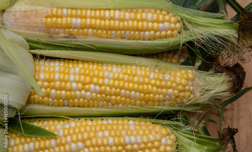bi-color corn on the cob