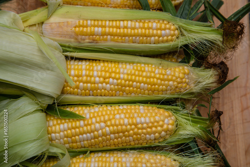 bi-color corn on the cob