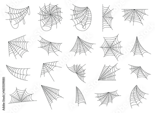 This image displays a diverse collection of spiderwebs, showcasing variations in their shapes, sizes, and spatial orientations against a plain white backdrop.