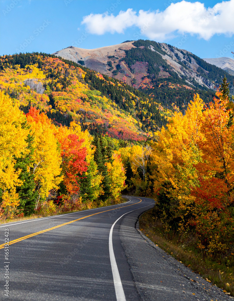 Fototapeta premium road in autumn