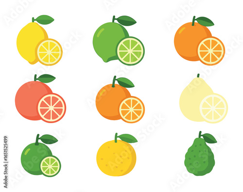 Adobe Illustrator Artwork