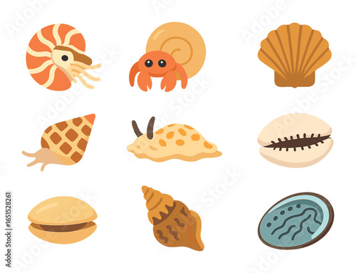 Sea Shell Icons. Flat icon set of sea creatures with shells: nautilus, hermit crab, scallop shell, cone snail,
