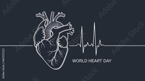 World Heart Day banner featuring anatomical heart drawing and heartbeat line illustration for cardiovascular health awareness promotion