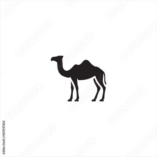 Black silhouette of a dromedary camel standing on a white background vector