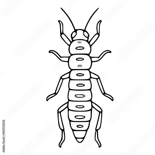 Black and white vector drawing of termite insect with segmented body and antennae
