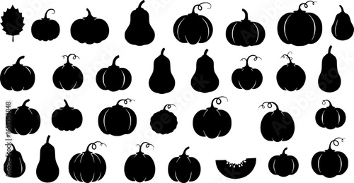 Black pumpkin silhouettes pattern gourds autumn
